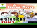 A new dog story  oxford reading tree stage 2  biff chip and kipper stories