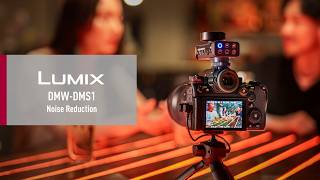 Lumix Dmw-Dms1 Noise Reduction