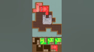 Puzzle Cats - Gameplay Walkthrough #shorts #games #funny #shortsfeed