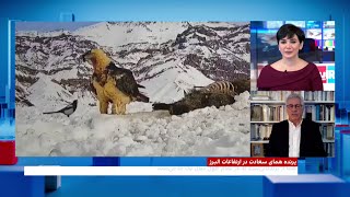 استقبال گسترده ایرانیان از رویت پرنده «همای سعادت» در ارتفاعات البرز