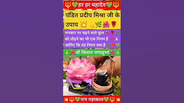 फूल तोड़ने का नियम जानिए |🌺🌹 #panditpradeepjimishra#upay#sawan#shivpuran#niyam#shorts#pradeepmishra
