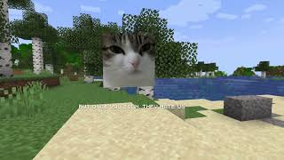 oh the misery wawa cat - enemy (square in minecraft)