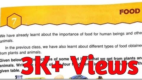 ||DAV Class 4 Science Chapter 7 Food Explanation||Food DAV Class 4||Collection Of Study||