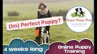 Im Perfect Puppy The Best Puppy Training Live Online Course short announcement