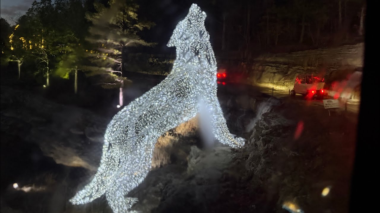 Johnny morris top of the rock golf cart tours! 