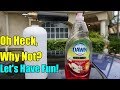 Dawn Dish Soap in a Foam Cannon! Will it Foam? Dawn Dish Soap in a Foam Cannon! Will it Foam?