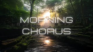 Morning Chorus: Relaxing Forest ASMR and Ambient Music