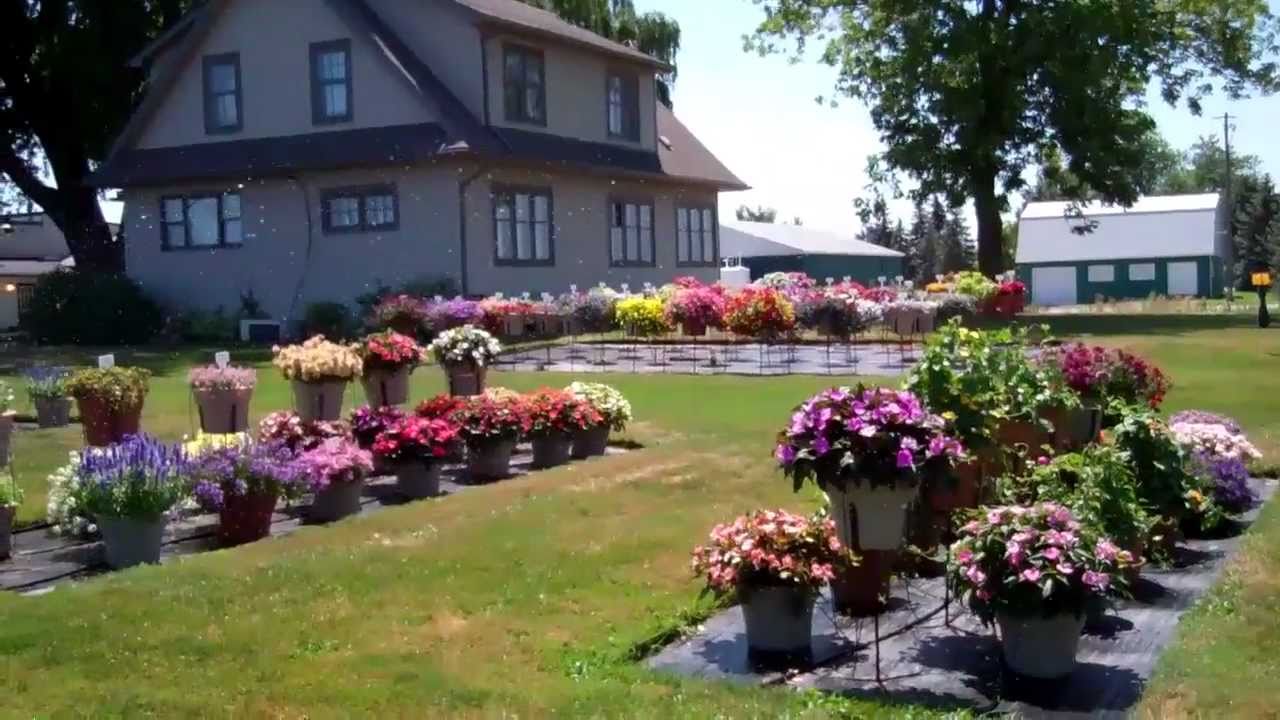 JVK Flowers and Plants in St. Catharines 15 July 2011 YouTube