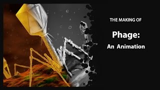 The Making of Phage: An Animation
