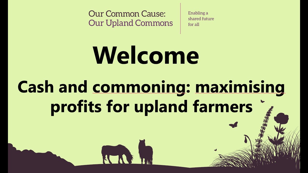 Cash And Commoning: Maximising Profits For Upland Farmers Webinar