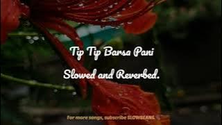 Tip Tip Barsa Pani (Slowed & Reverbed) | Mohra | Alka Yagnik & Udit Narayan | SLOWBEANS