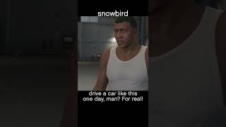 snowbird — GTA5 dialogue scene