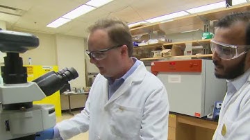 Scientists Scramble To Create Replacements For Plastic | NBC News