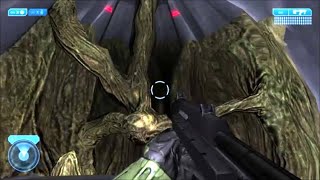 Halo 2  Visiting Gravemind's Secret Lair