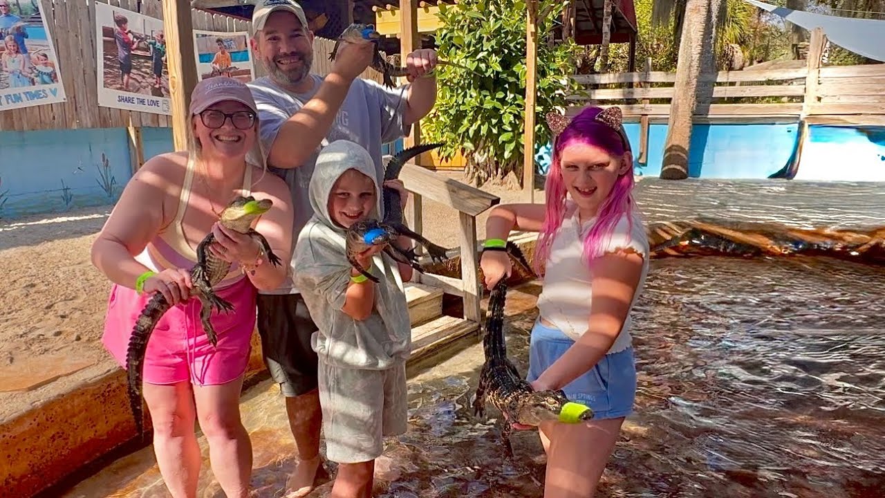 Виртуальный тур в формате 4K: Гаторама (Мы увидели живых детенышей аллигаторов и встретили дедушк...