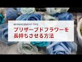プリザーブドフラワーの保存期間ともっと長く持たせる方法をご紹介！
