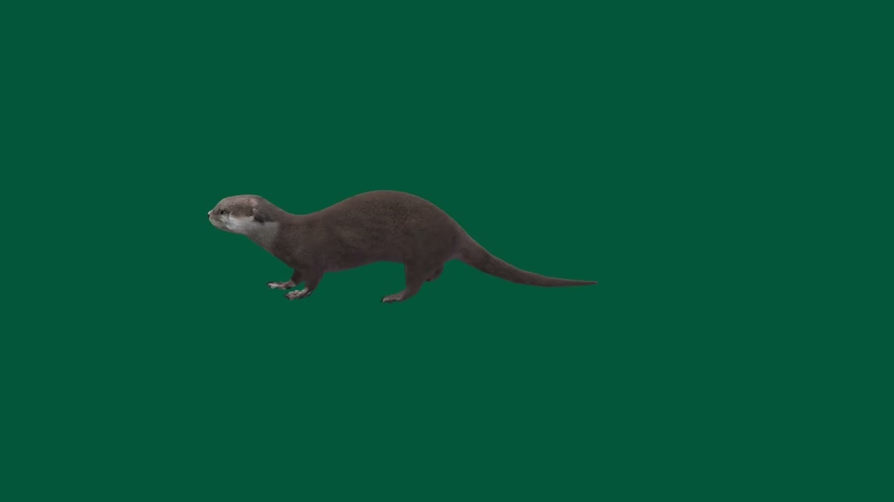 Otter - Superhive (formerly Blender Market)