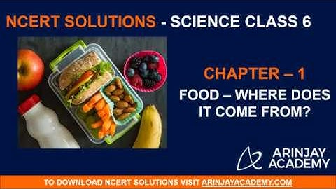 NCERT Solutions for Class 6 Science Chapter 1 - Food where does it come from