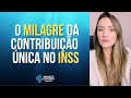 O Milagre da contribuição única no INSS