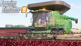Colheita De Amendoim No Paraná Farming Simulator 19 Fazendas Paraná - Episódio 149