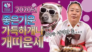 [용한무당][무당천신당]좋은기운 가득한 2020년 상반기 개띠운세 ▶욱하는 성격은 NO!! 괴강살, 백호살 …