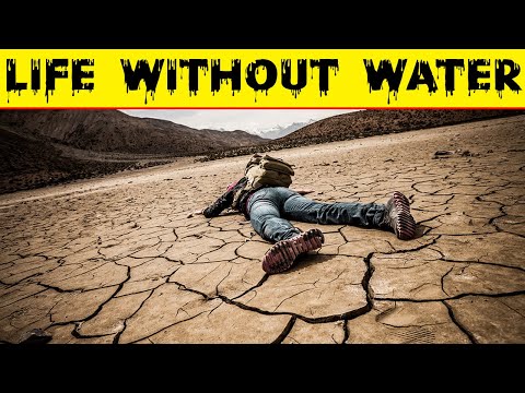 पानी के बिना हम कब तक जिंदा रह सकते हैं ? - Can we survive without water ?