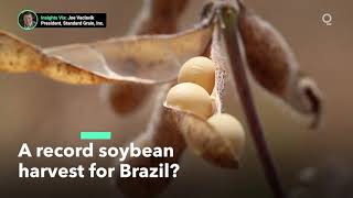 A Record Soybean Harvest for Brazil