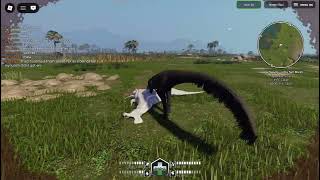 Roblox 2026 08 14T16 05 45 141Z