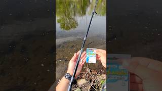 River Rainbow trout hits Berkley PowerBait   !!  #troutfishing #fishon #berkleypowerbait #gomakatzu