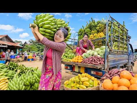 Big Banana Harvest and Fresh Farm Produce – Selling at the Countryside Market