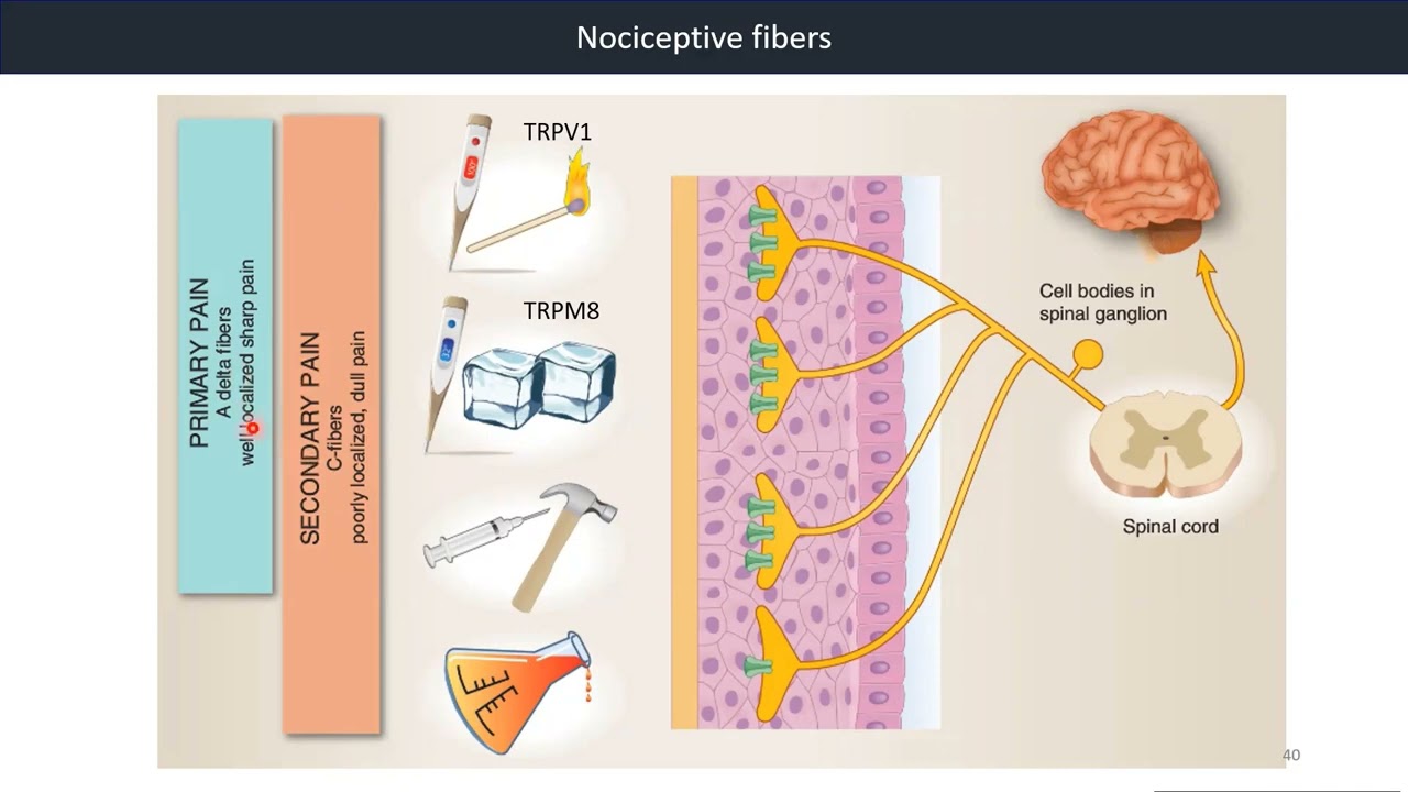 youtube-video-thumbnail