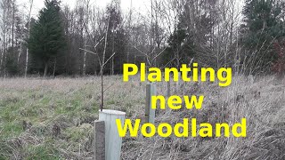 Tree planting, keeping the cycle going, energy resilience.
