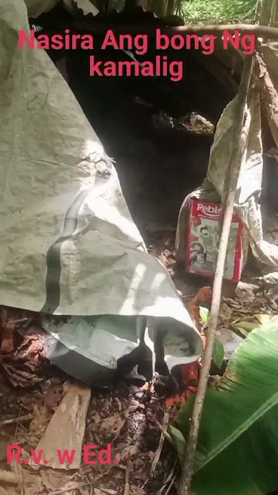 dira Ang bong Ng kamalig