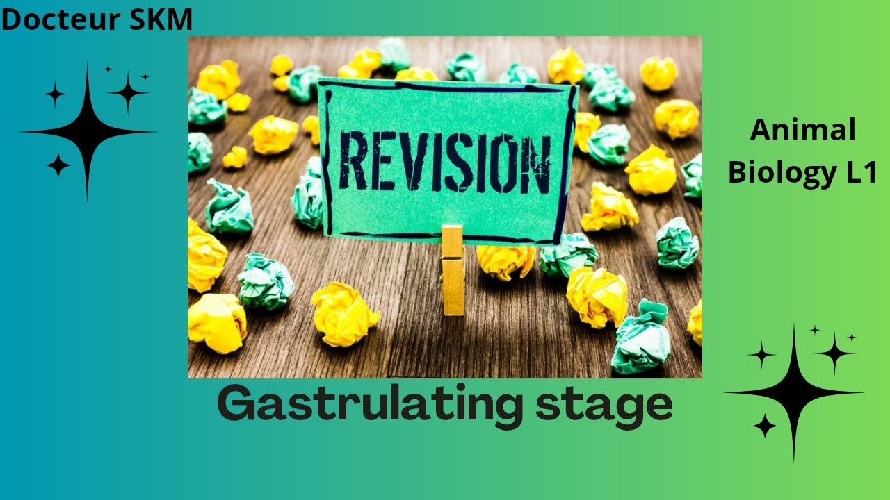 Comment comprendre la gastrulation -Révision-