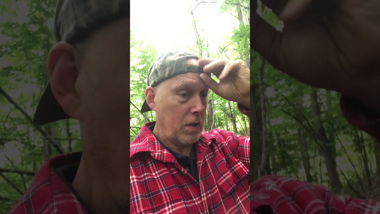 WATER HOLE TO GET A BUCK Shorts Shortvideo Subscribe Shortsvideo Outdoors Hunting Wildlife