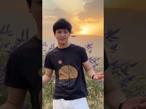 Басстер салони BMW бромат трек #басстер #bassmusic #basster #cover #love #баскавер #бас #uzbek