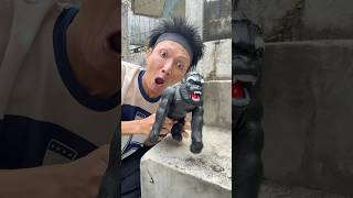 Setop #shorts #trending #funny #subscribe