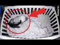 The camera recorded what this Cat does at night with the baby!