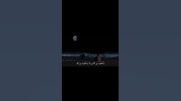 استغفرالله العظيم من كل ذنب عظيم 🩶 #قرآن #قران_كريم #قرآن_كريم #استغفر_الله #استغفار #اذكار #رمضان