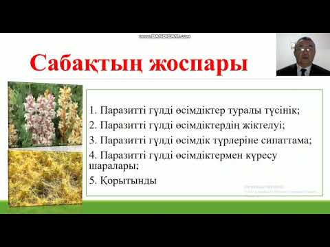 Бейне: Көбелектерді өсіру туралы ақпарат - қандай өсімдіктер бақшаға көбелектерді тартады