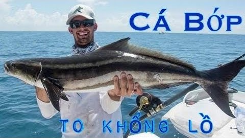 Câu Được Con CÁ BỚP To Khổng Lồ ở Galveston, Texas. Cuộc Sống của Người Việt ở Houston, Texas, Mỹ.