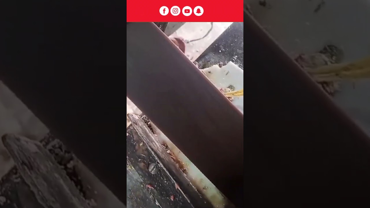 Black Laundry Bar Soap | Tatasoap