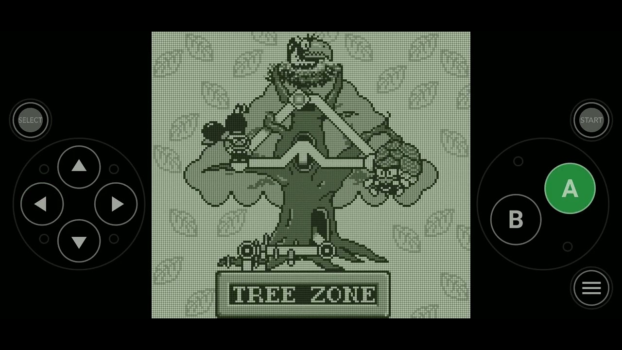 Super Mario land 2:6 Golden coins.