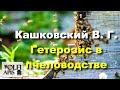 #Кашковский В. Г. #Гетерозис в пчеловодстве .