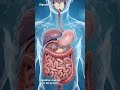 #Digestion of food #