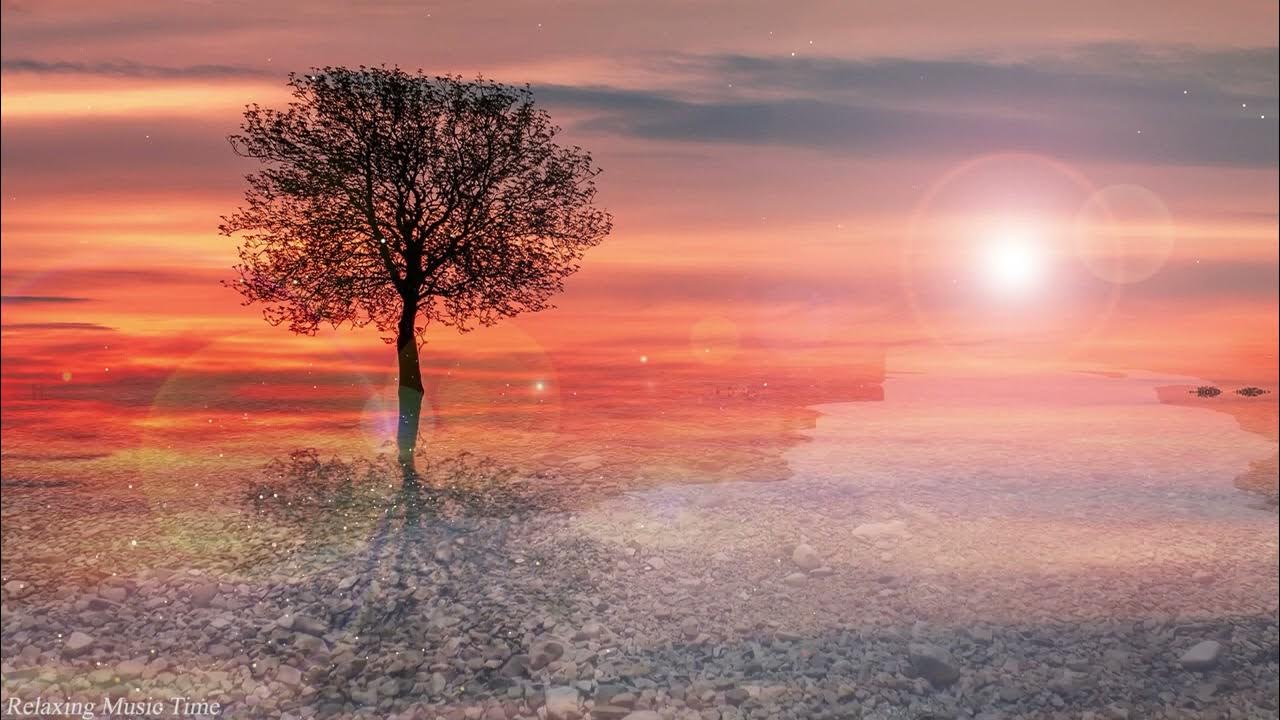 Calm Your Anxiety With Beautiful Flute Music Relaxing Instrumental calm-your-anxiety-with-beautiful-flute-music-relaxing-instrumental