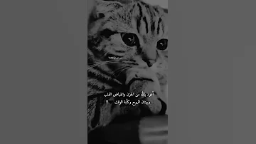 استوريات انستا حزينه جدا لله كم كثرت جراحي حزينة حالات واتساب حزينه 2022 حالات واتساب 
