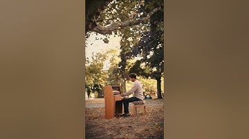 Playing some music for the trees…(Après-Midi)