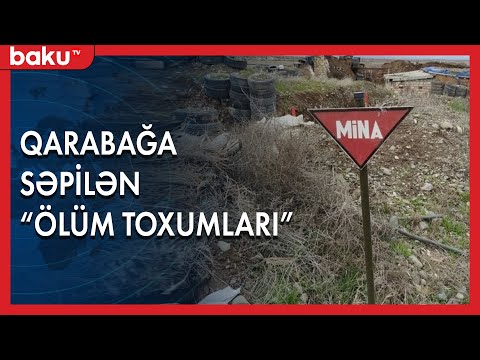 Video: Minnesotada üçüncü dərəcəli cinayətlər nədir?