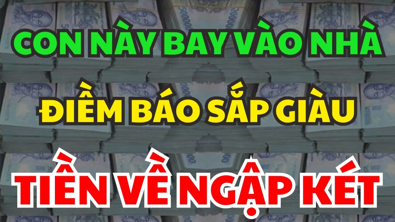 Con Này Bay Vào Nhà, Điềm Sắp Giàu To, THẦN TÀI CHO LỘC, Tiền Vào Như Nước